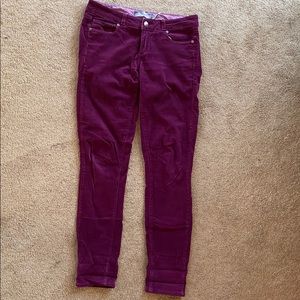 Paige Verdugo Legging Pink/Purple Cord